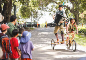 Pinecones and Portals Image